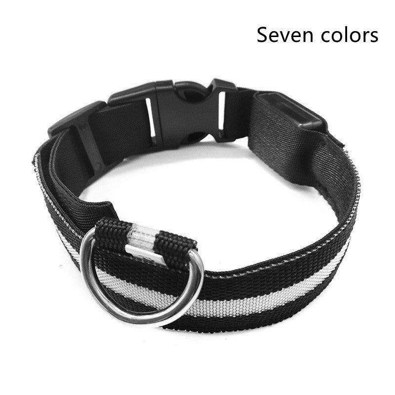 Black and white striped dog collar with a D-ring on a white background