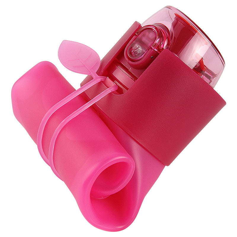 collapsible drink bottle United Kingdom school eco bottle