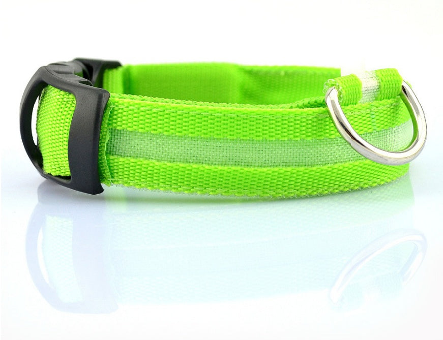 Green dog collar with a silver D-ring on a white background