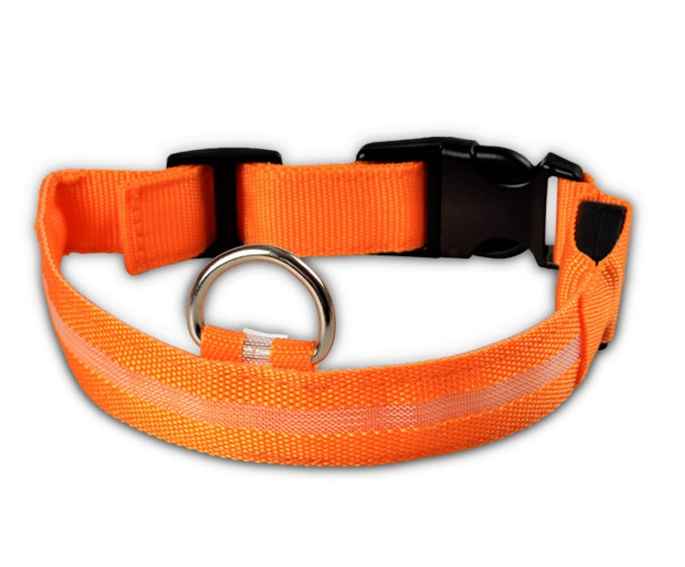 eco pet collar rechargeable LED design