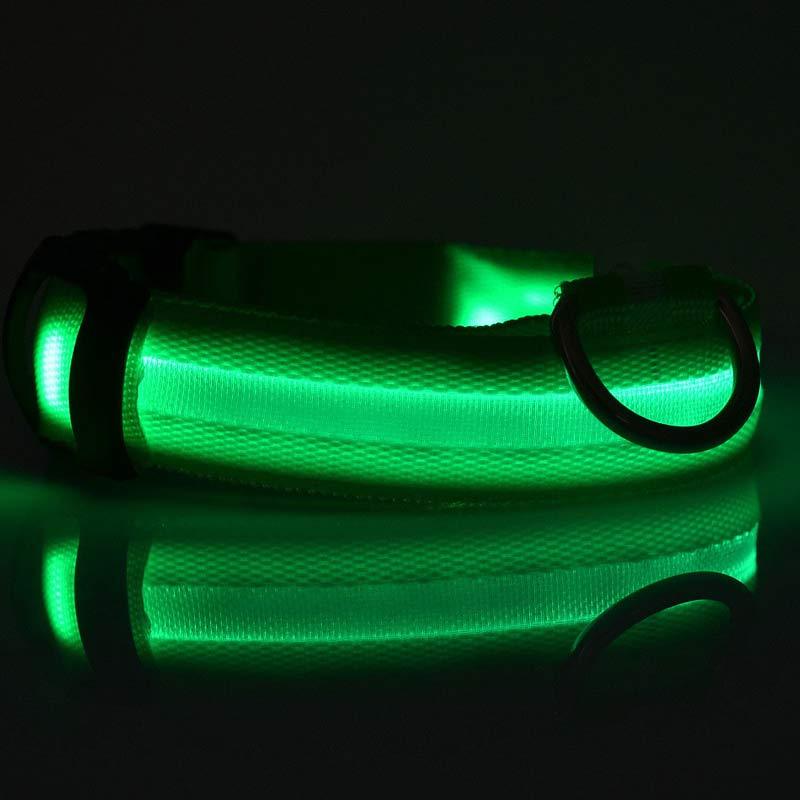 eco dog collar night visibility UK trail