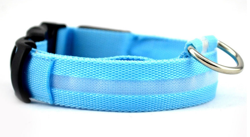 Blue dog collar with a metal ring on a white background