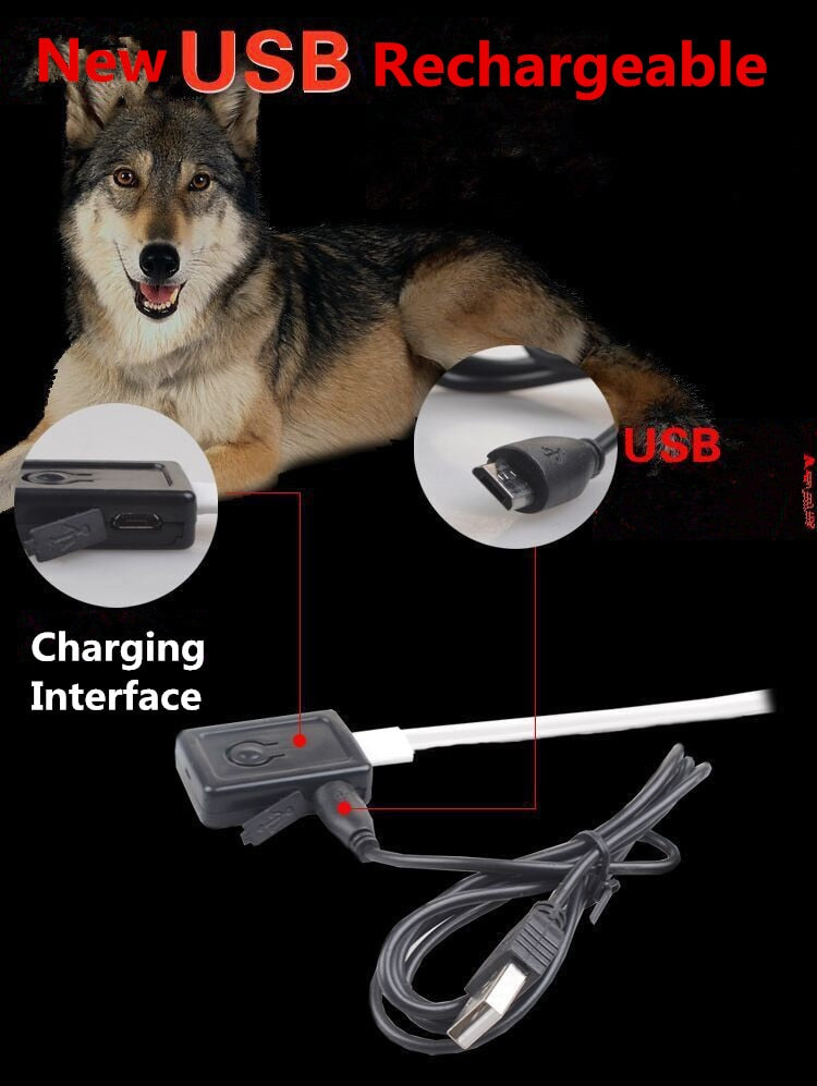 USB rechargeable device with charging pet collar eco-friendly lighting UK