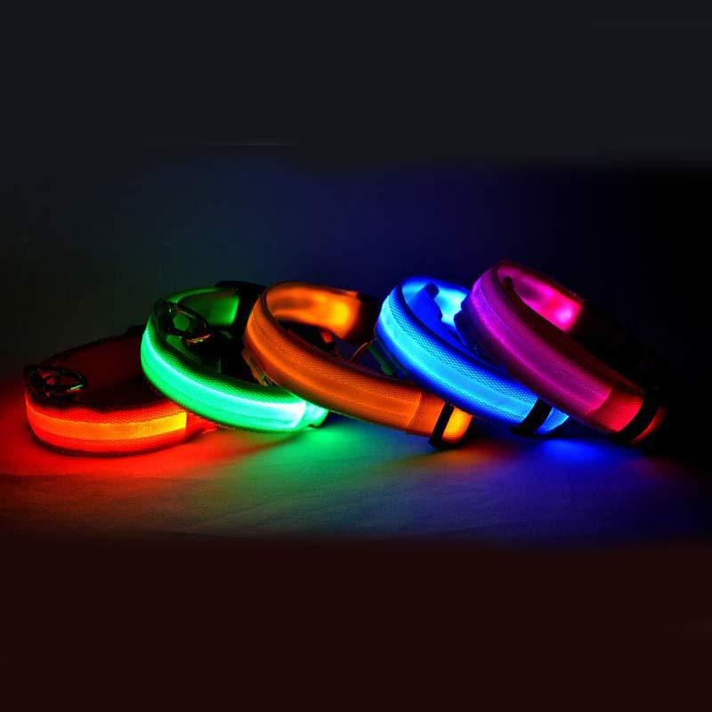 Four colorful LED dog collars on a dark background US