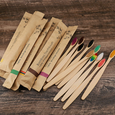 eco toothbrush set Canada zero waste family pack
