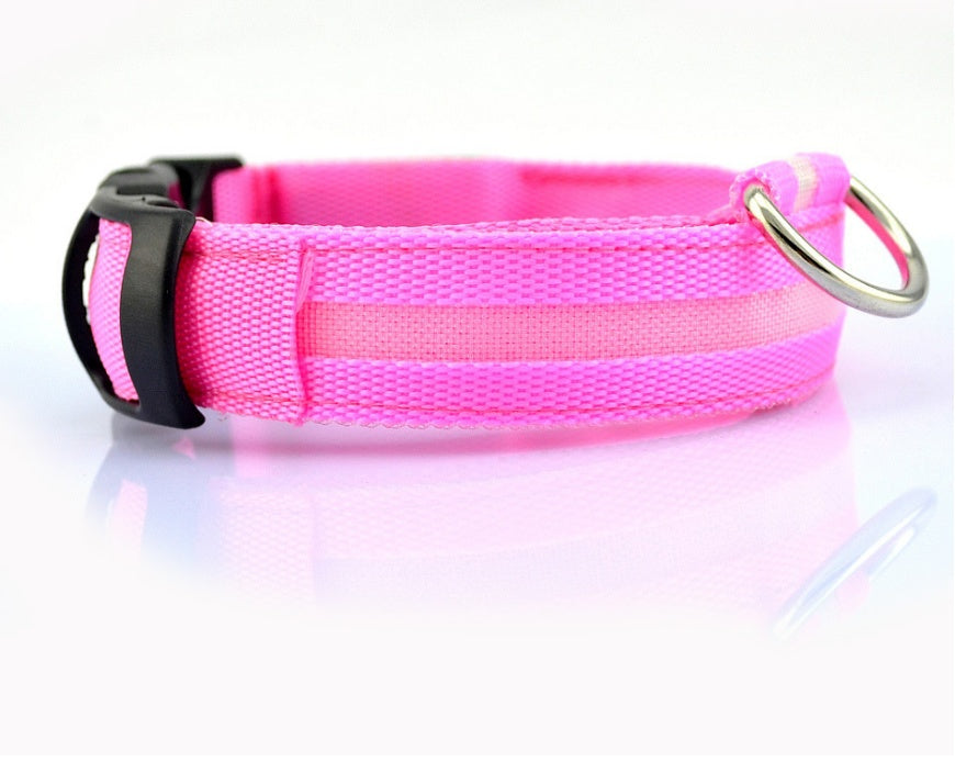 Pink dog collar with a metal clip on a white background