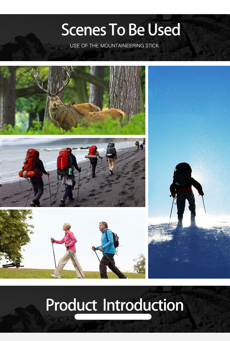 Collage of people using mountaineering sticks in various outdoor settings.