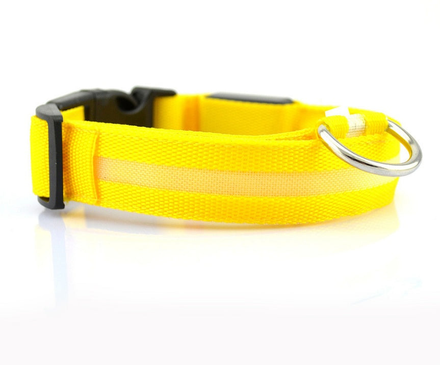nylon LED collar for camping and hiking