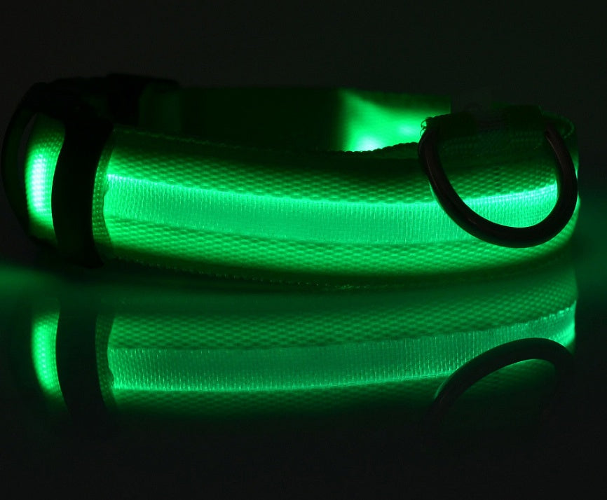 glowing pet collar night safety protection