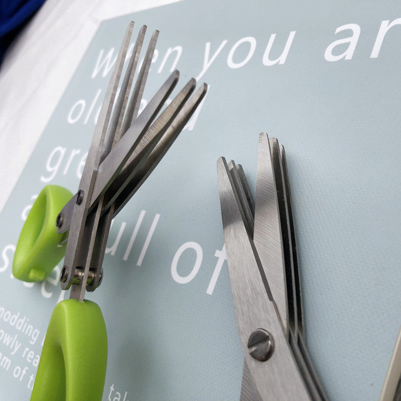 durable spice scissors Canada kitchen cutting gadget